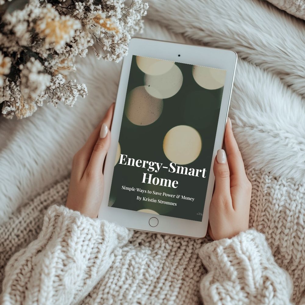 The Energy-Smart Home - Simple Ways to Save Power and Money